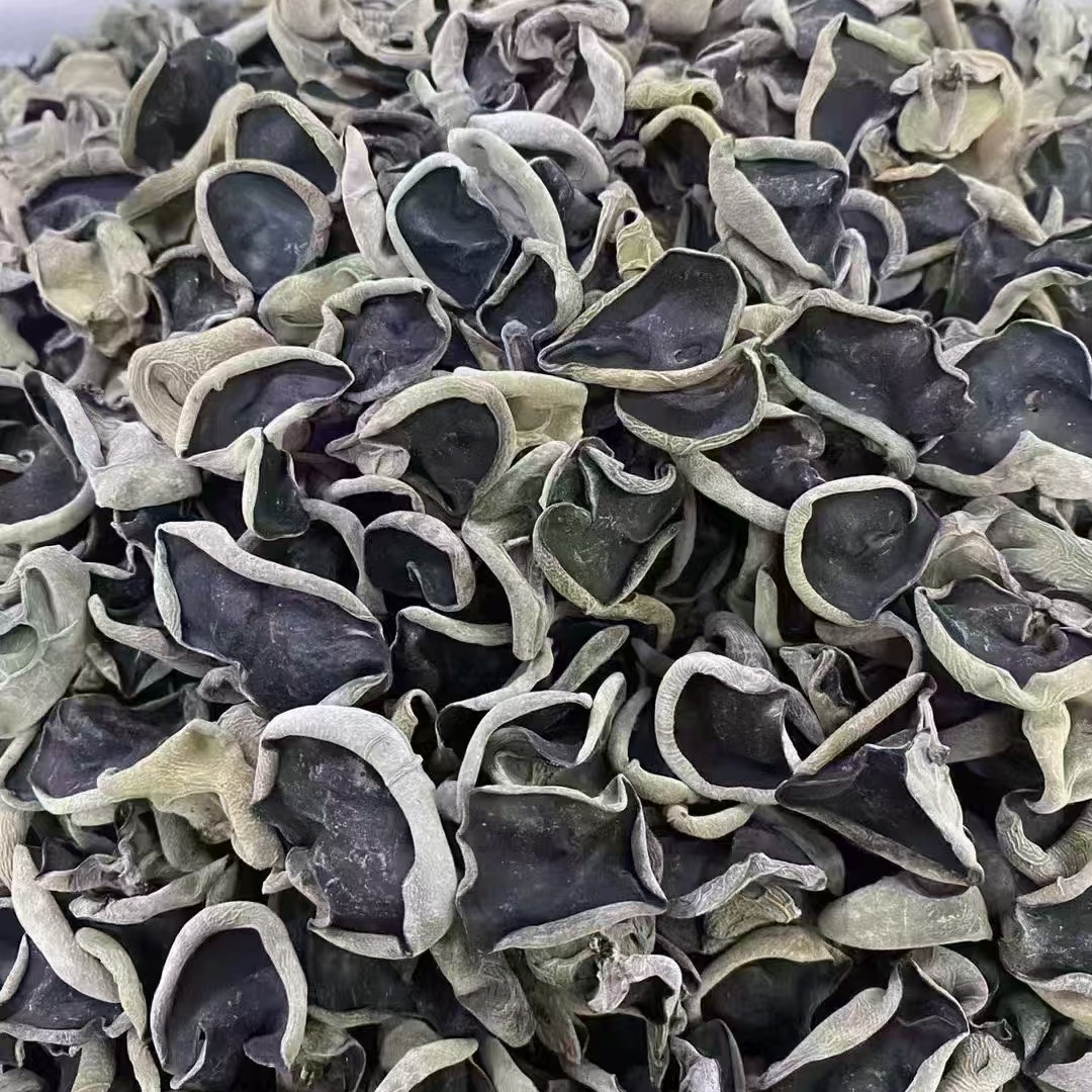 东北特产伊春黑木耳正宗蘑菇干货无根肉厚头茬春木耳产地直发散装