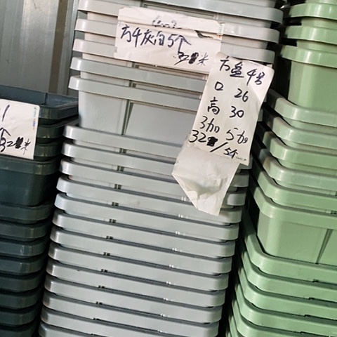 树脂编号402无托5个