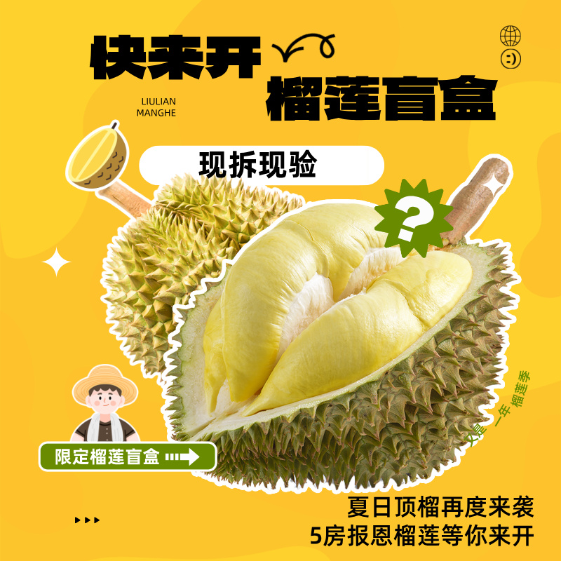 【 双12果肉活动】泰国树熟金枕榴莲 一果一重 鲜榴莲核小 哈尔滨同城小时达金枕泰国