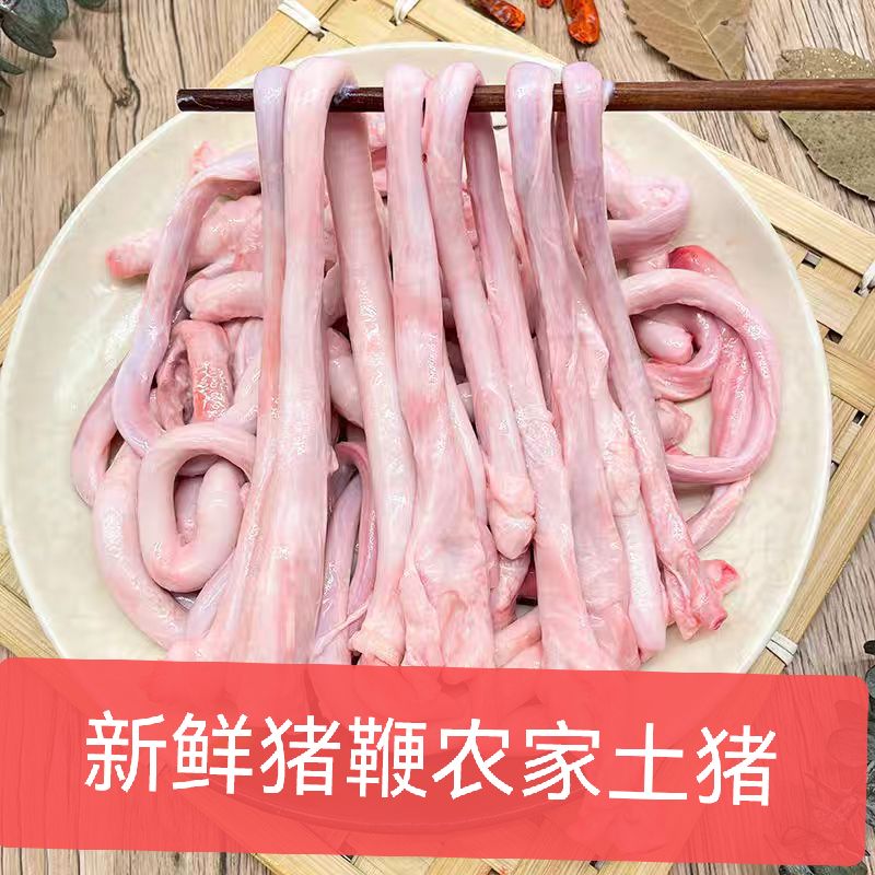 新鲜猪鞭农家散养土猪鞭串网红夜市烧烤食材顺丰包邮
