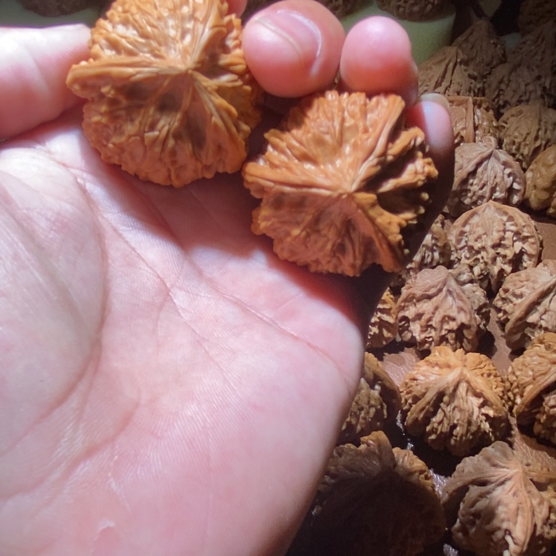 白***天文山三棱文玩核桃手把件