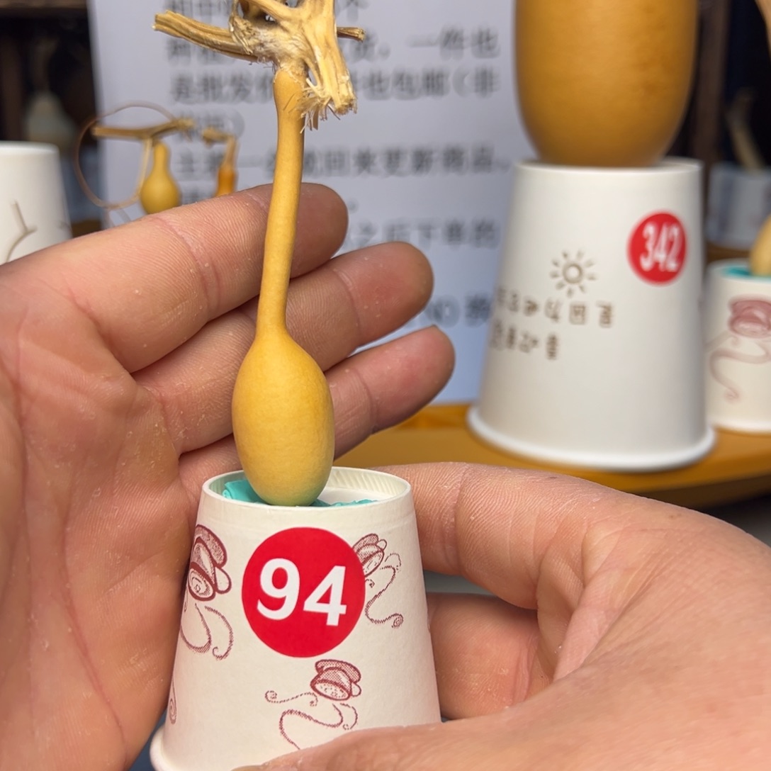 闪电购自助下单编号94