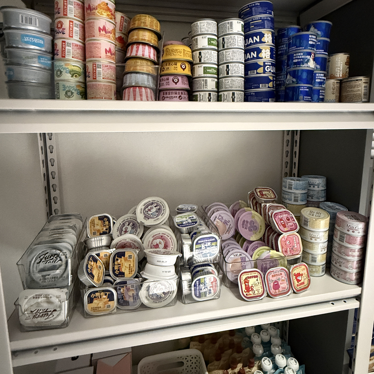 猫咪随心配（no退no退 退进小黑屋直播版）