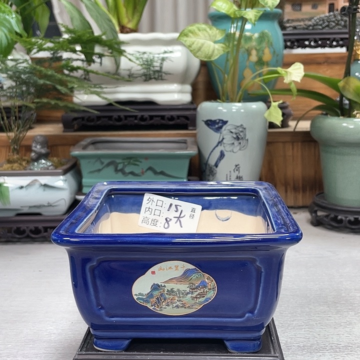 陶瓷花盆紫砂花盆福利