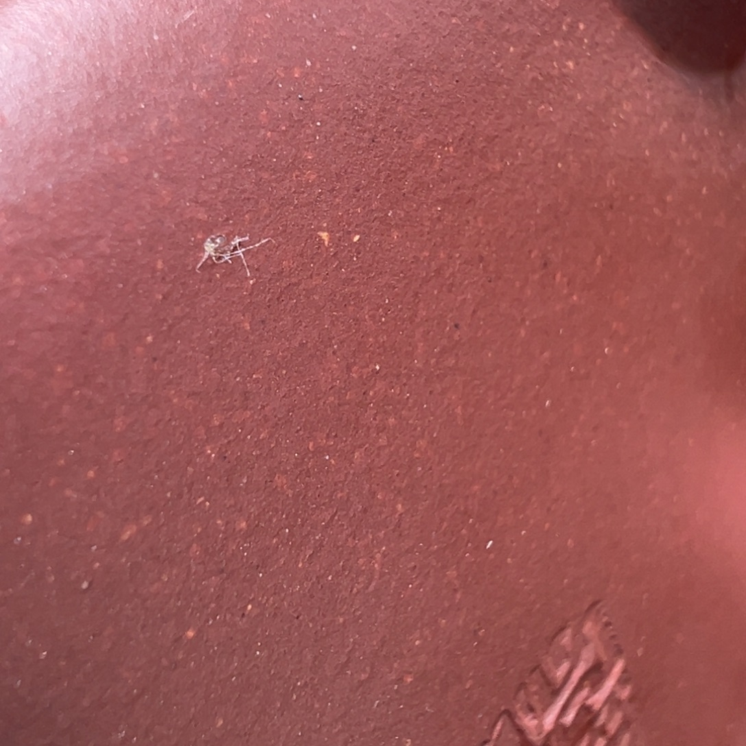 福***管茶壶紫砂宜兴紫砂壶的制作