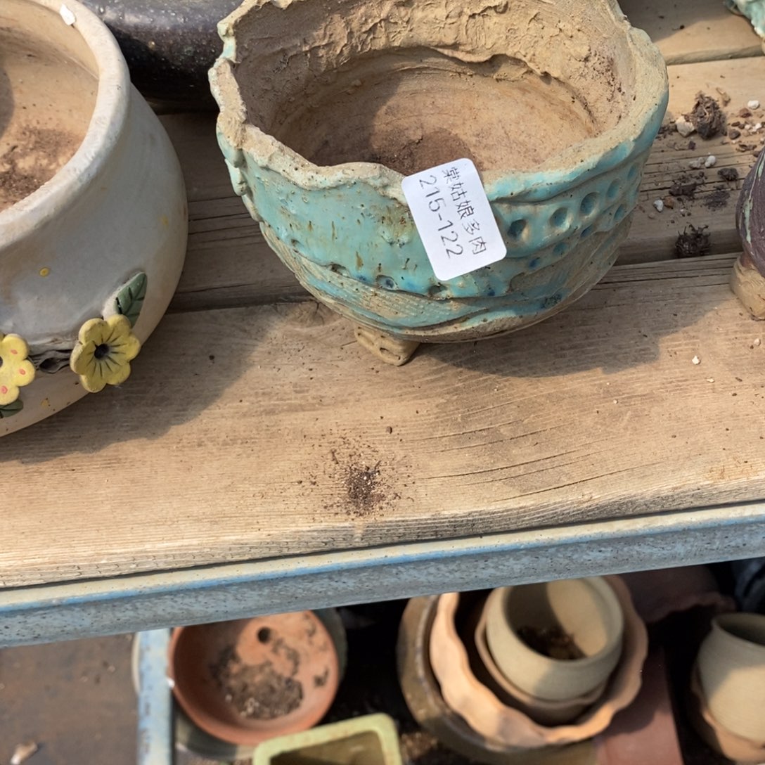 红陶嫣*122号多肉盆一个呀