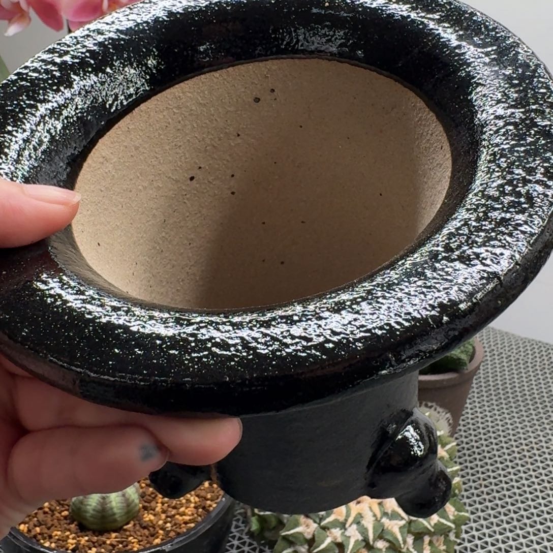 5寸京乐烧正版hh