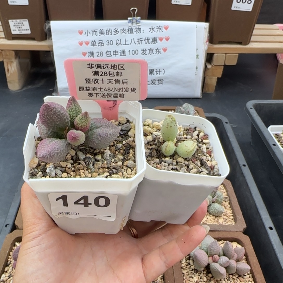 香***香140实生64黄金海报15