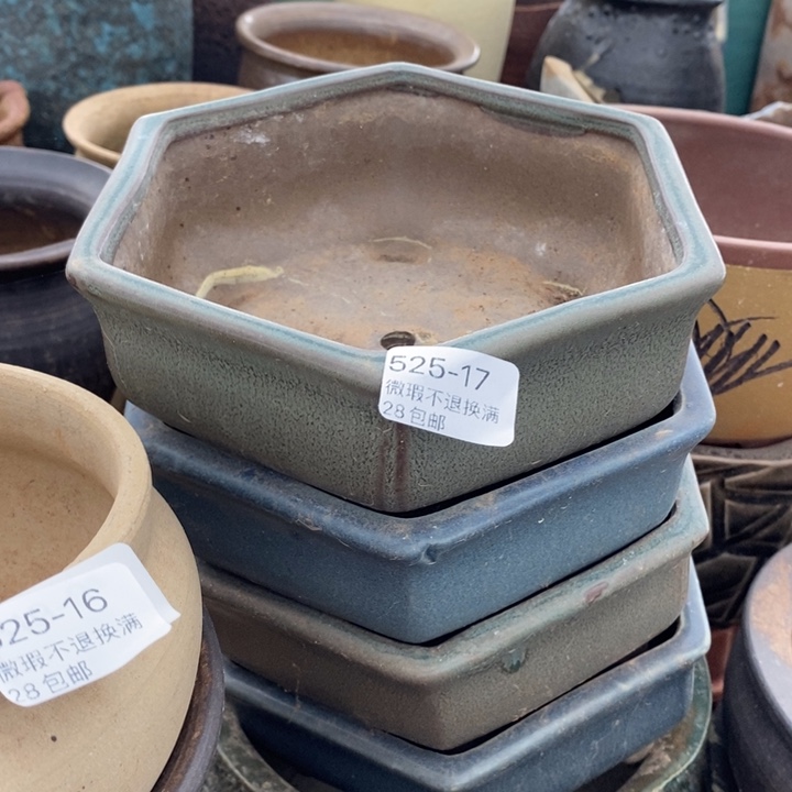 17号多肉盆口径16多肉盆一个