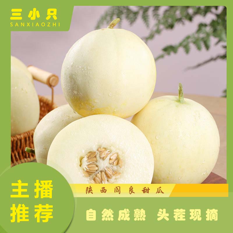 正宗陕西头茬阎良甜瓜带箱5斤坏果包赔