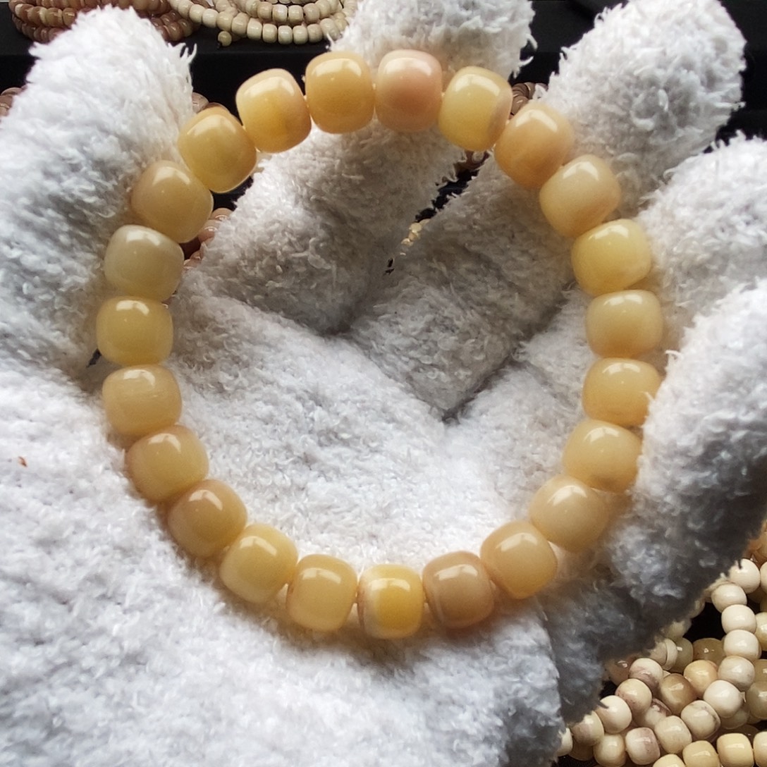 快***乐驼骨手串/手链1.0驼骨