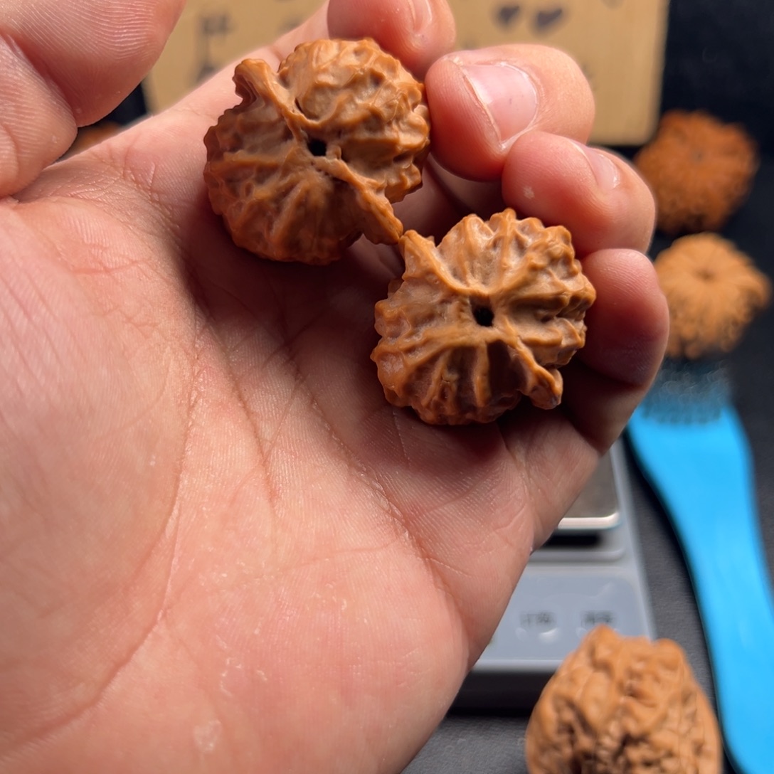 文玩核桃把件蓟县平圆苹果