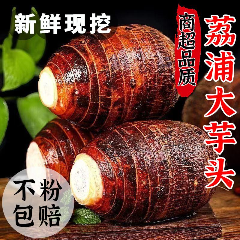 正宗广西荔浦新鲜大芋头香芋小芋头农家现挖发槟榔芋毛芋粉糯香甜