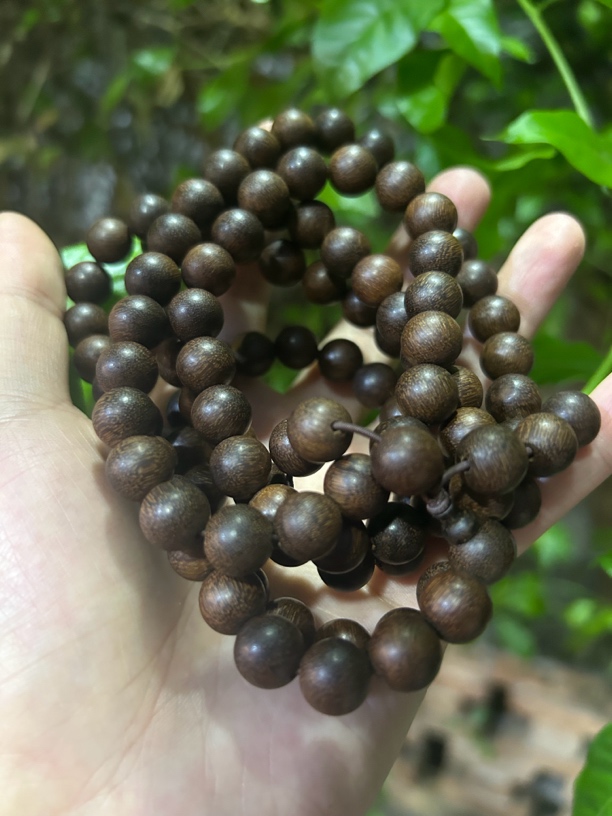 【土特产菇51】净含量75g
