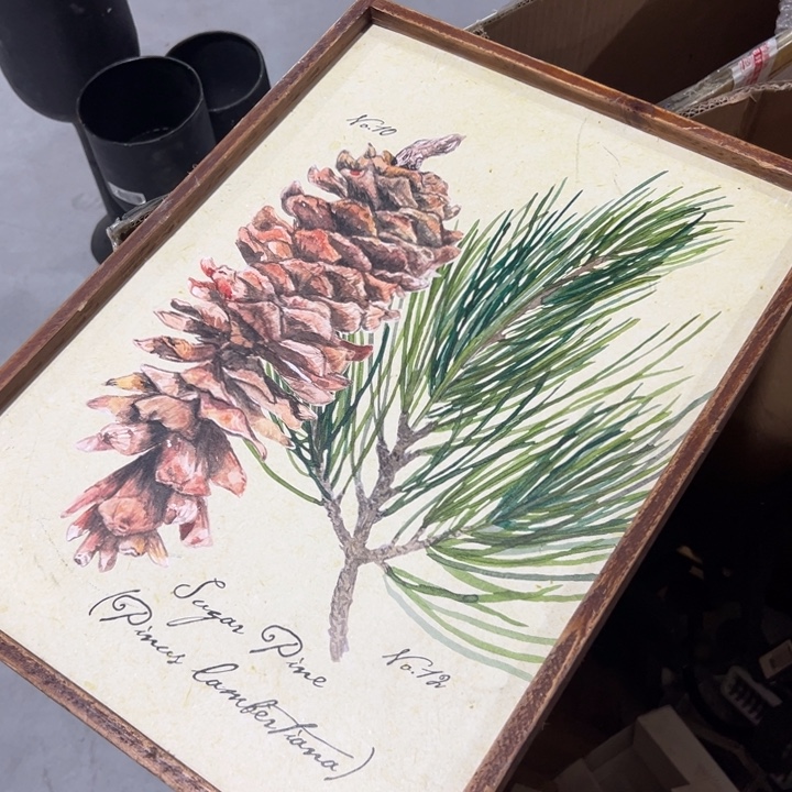 36.48 外贸孤品 默认瑕疵