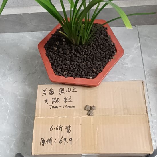 征***息兰菌黑山土大颗粒6.6斤