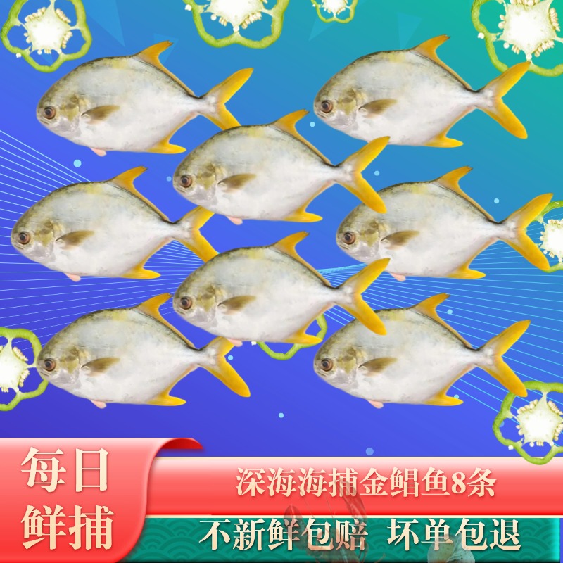 深海金鲳鱼8条深海鱼水产海鲜生鲜海鱼美食金昌鱼海货共4.7斤-5斤