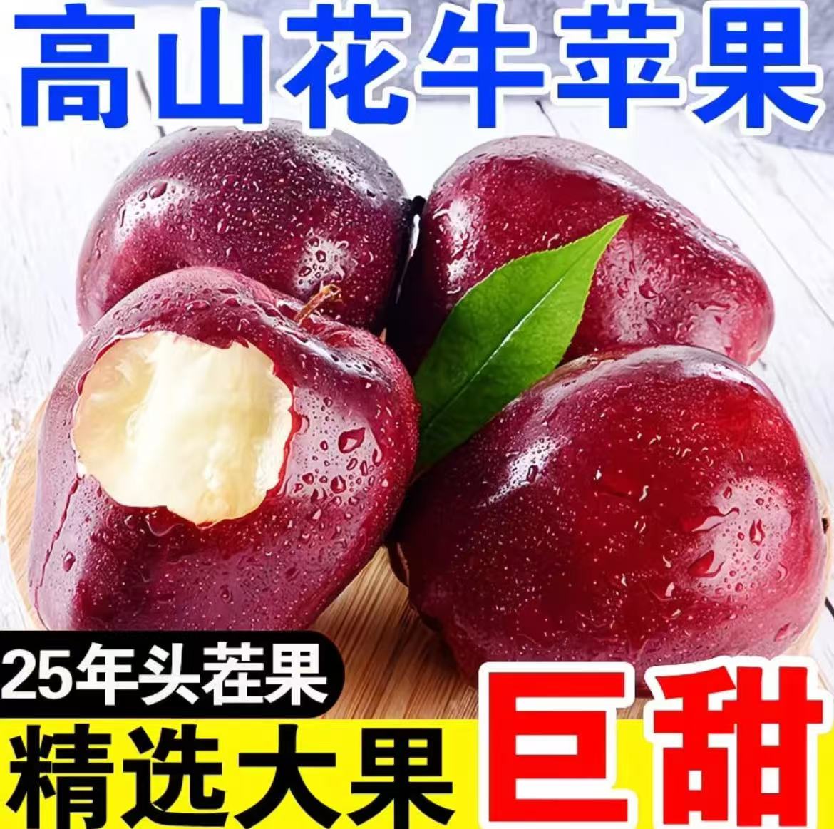 【脆粉两吃】2025新鲜应季花牛苹果红蛇果新鲜水果花牛苹果红苹果