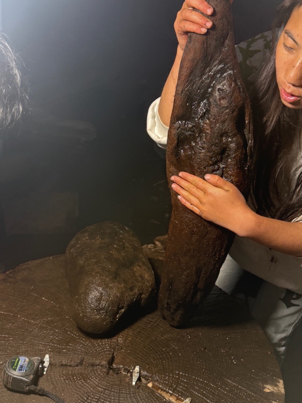 民间使用风化木阴沉木