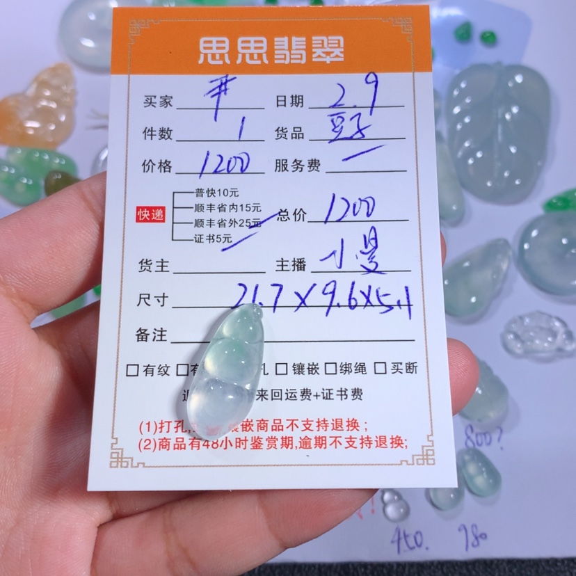 【闪购商品】翡翠颈饰未镶嵌尹**名豆子