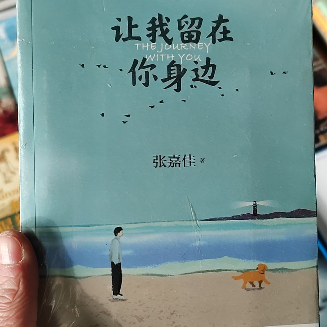 让我留在你身边张佳佳的