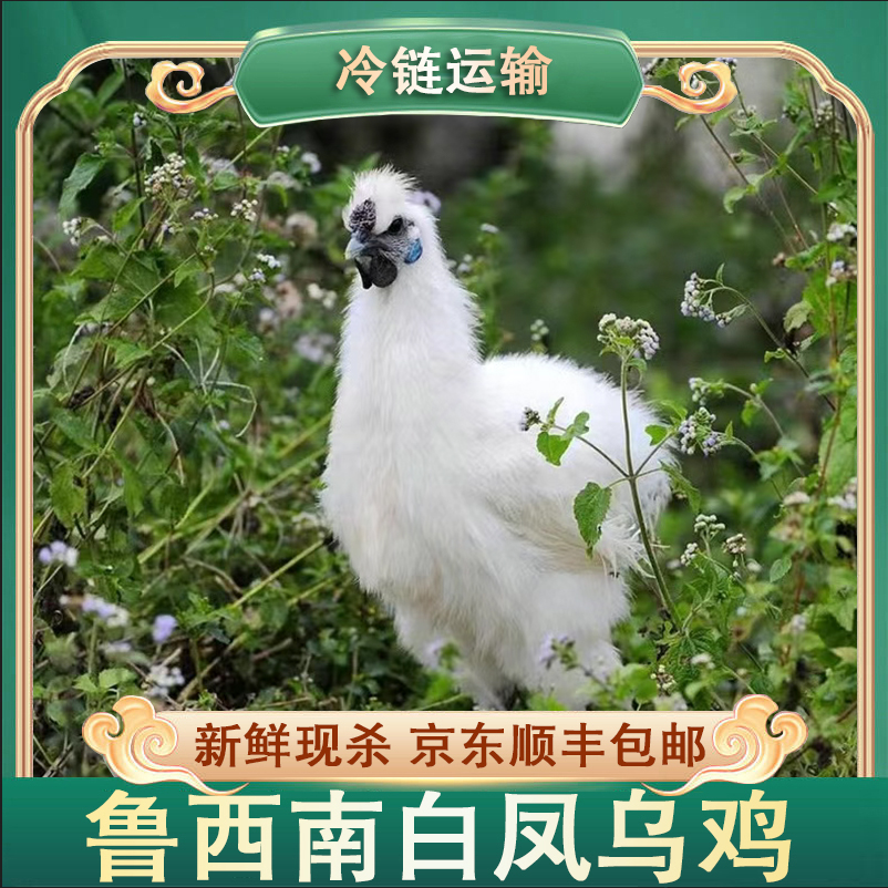 【农家土货】白凤乌鸡 肉质鲜嫩 净膛发货 3只净重5.7斤