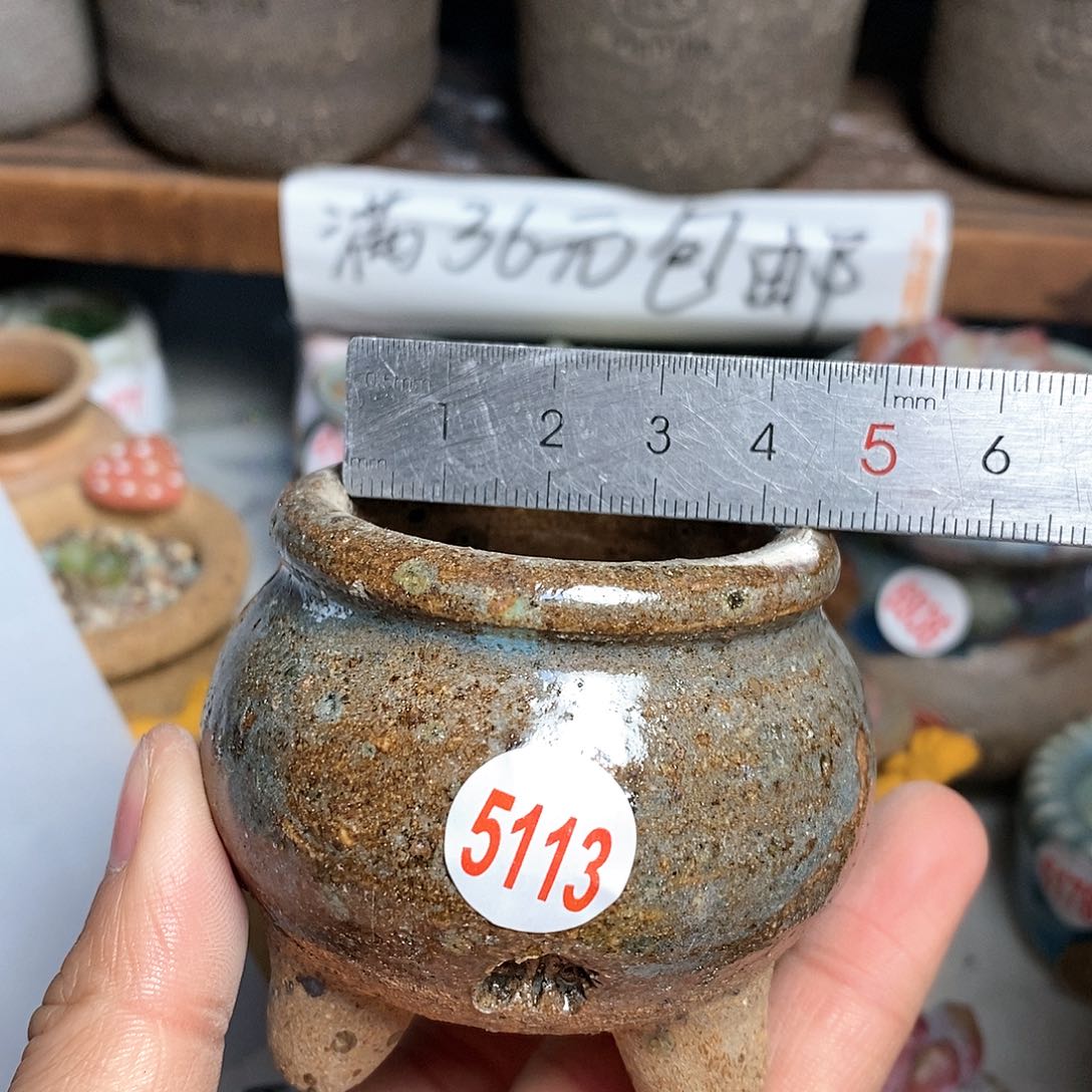 红陶拍5送一个小