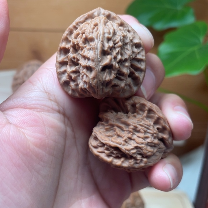 三角白  全品无修  