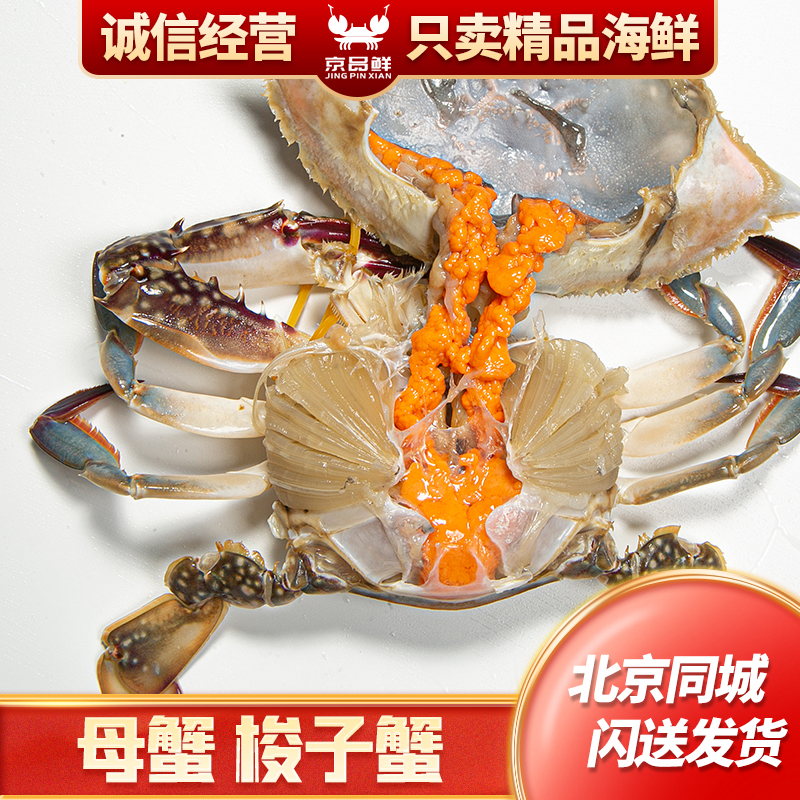 精品母蟹梭子蟹5-6两 7-8两 1斤一只规格海捕梭子蟹【保鲜不保活】