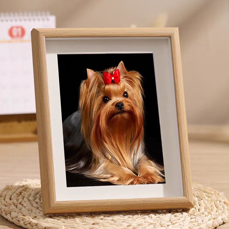 宠物创作设计私人定制（下单对接客服）