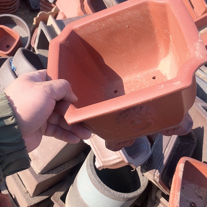 紫砂我要不就是你一