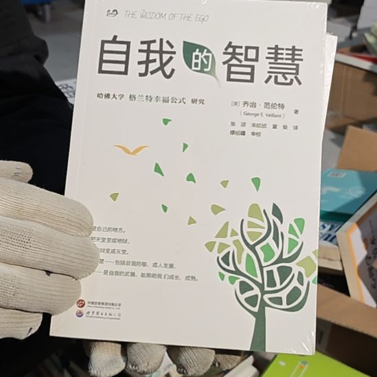 自我的智慧平装库存书