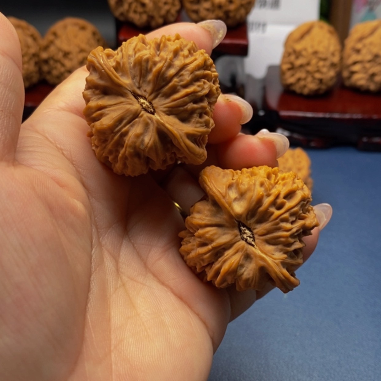 【闪购商品】8 正高炮。逐鹿南疆石边41