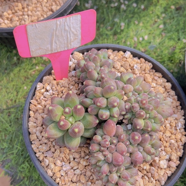 健健康康平平安安