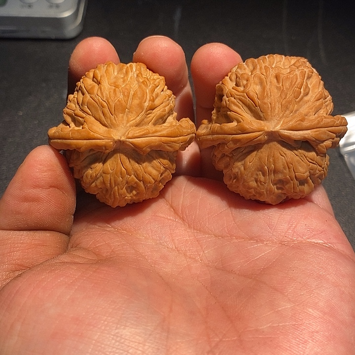 宝***缆手串/手链核桃40闷白。