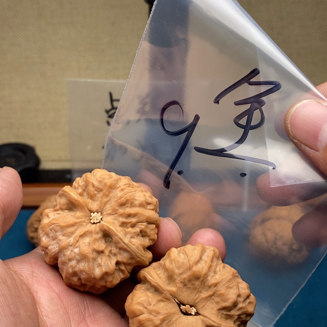 轩**753753753573573