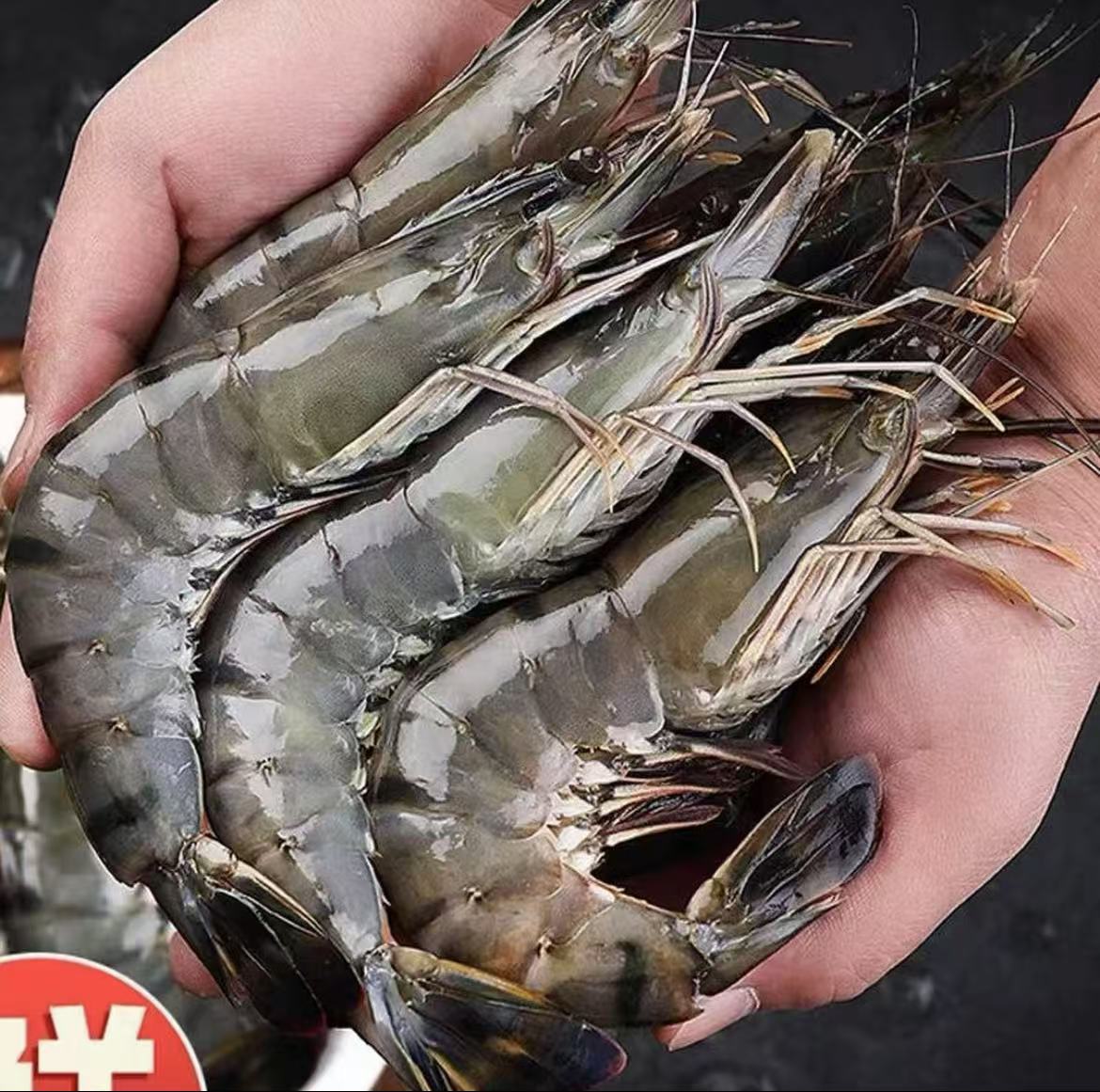 A【春春海鲜】鲜冻黑虎虾 老虎虾16-20规格  25-30只左右/盒