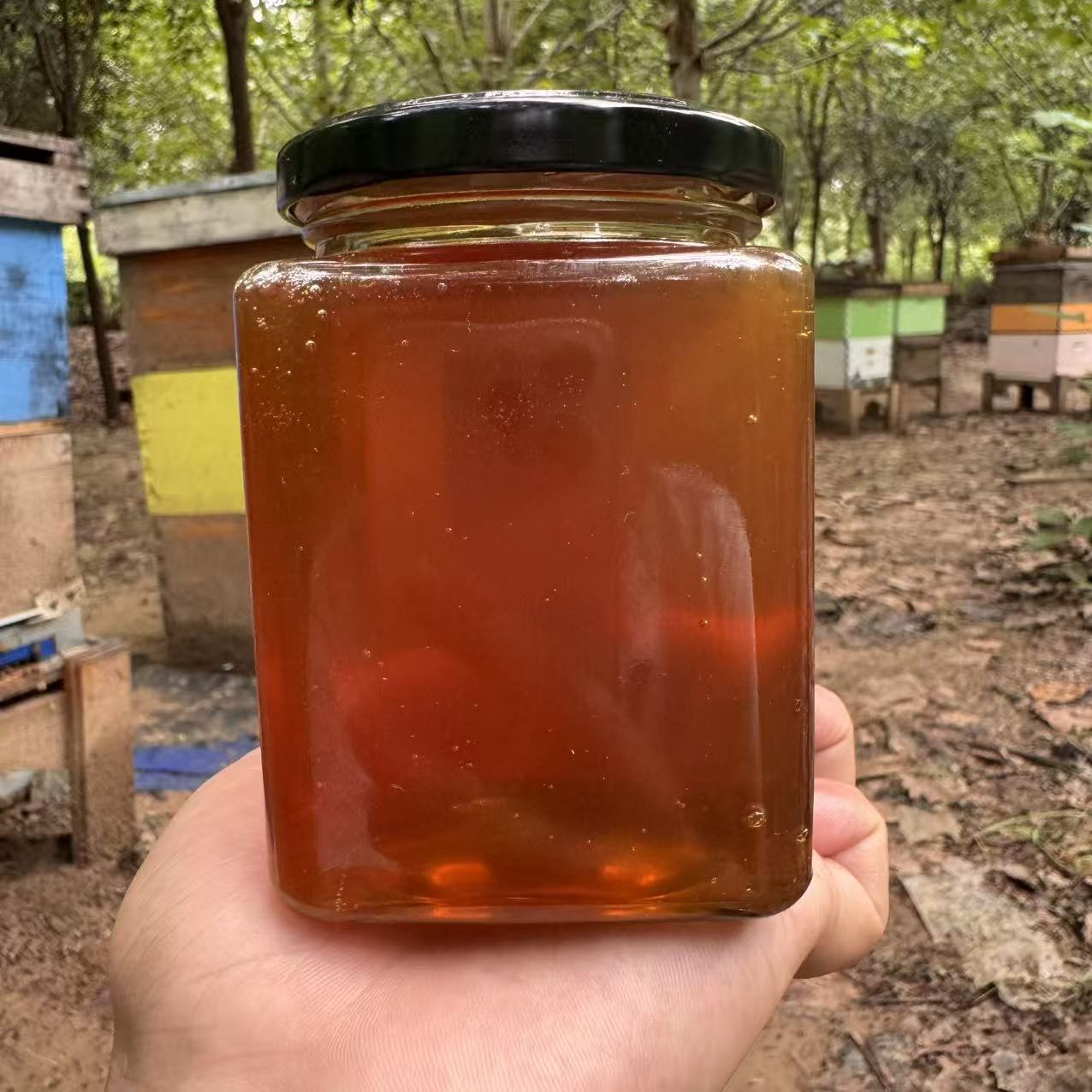 高原小茴香蜂蜜采集海报2800蜜海拔