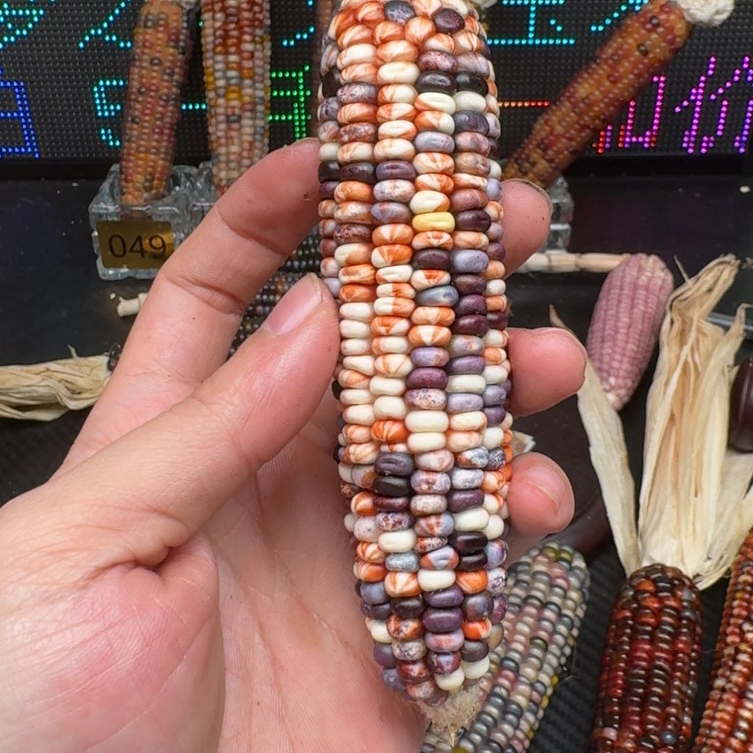 柏香籽/百香籽吊坠痣*啊