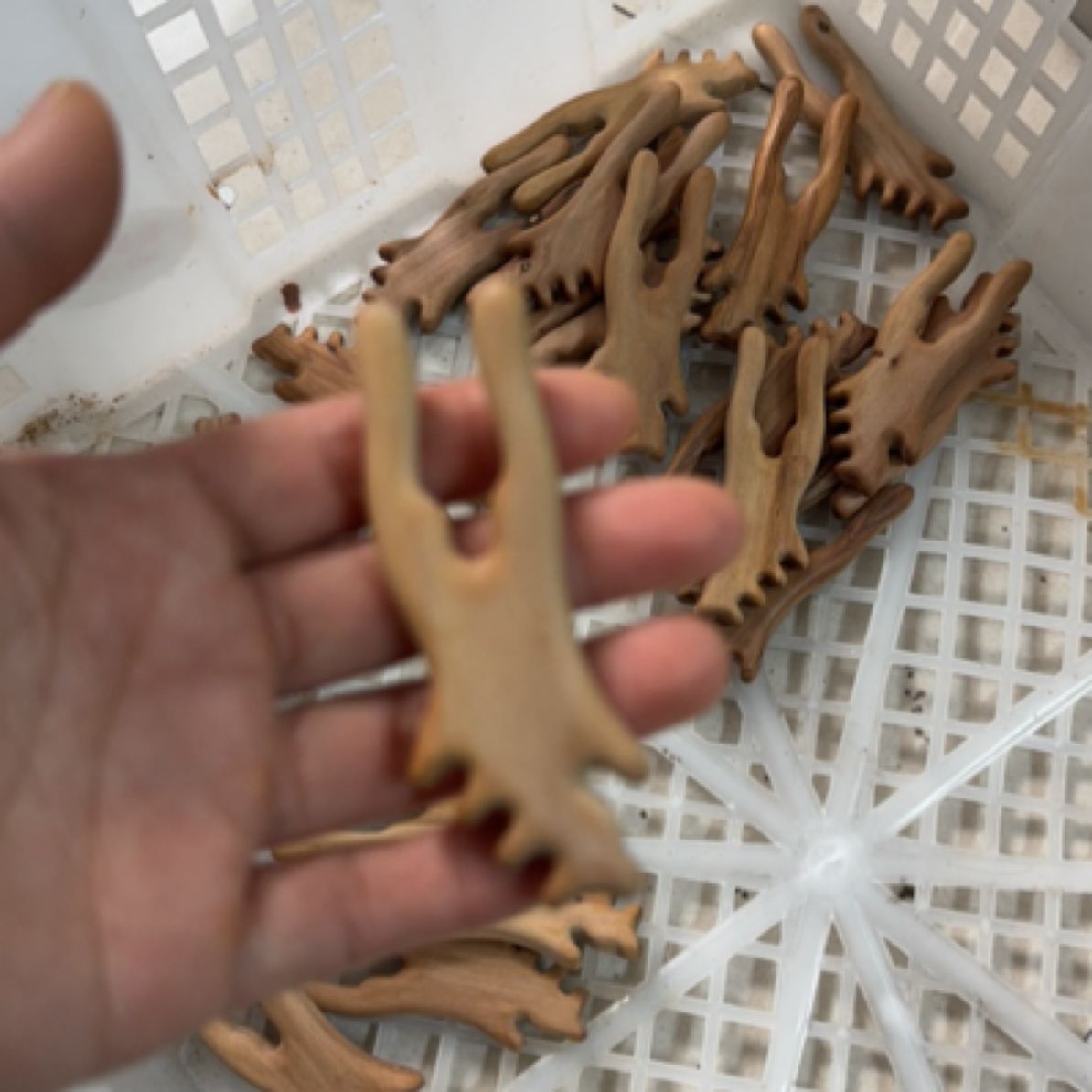 孙善升老山檀耳朵点穴按摩棒