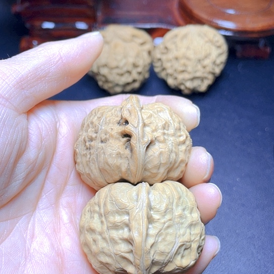 大叶紫檀（黑酸枝木类）七*?