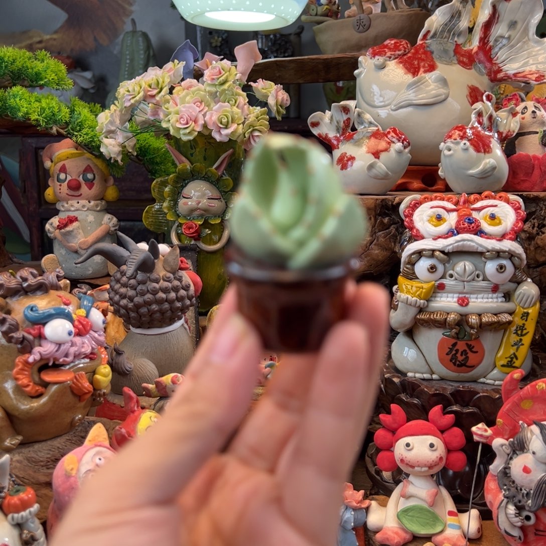 小镇青花每日有新品