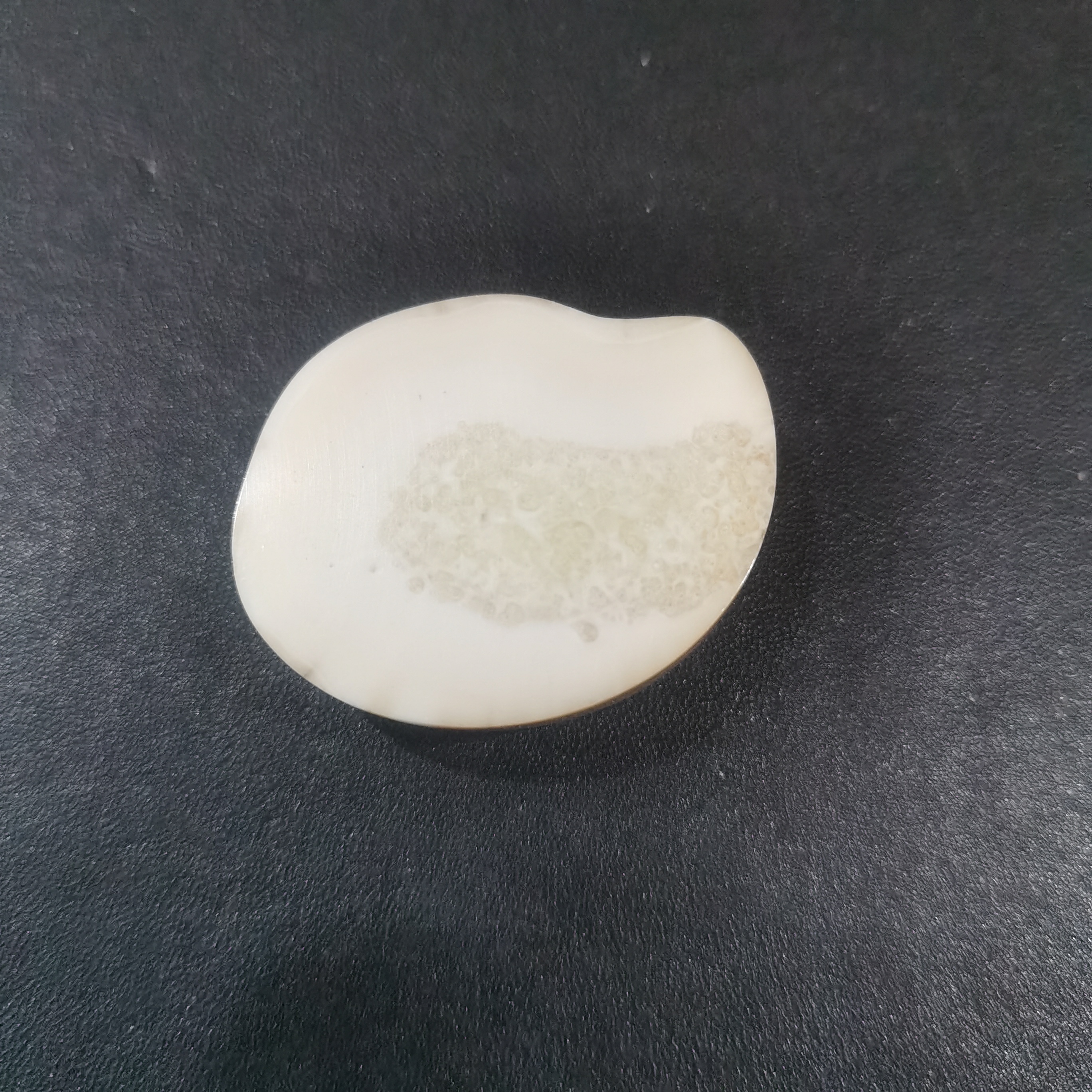 猛犸虬饼子kk707