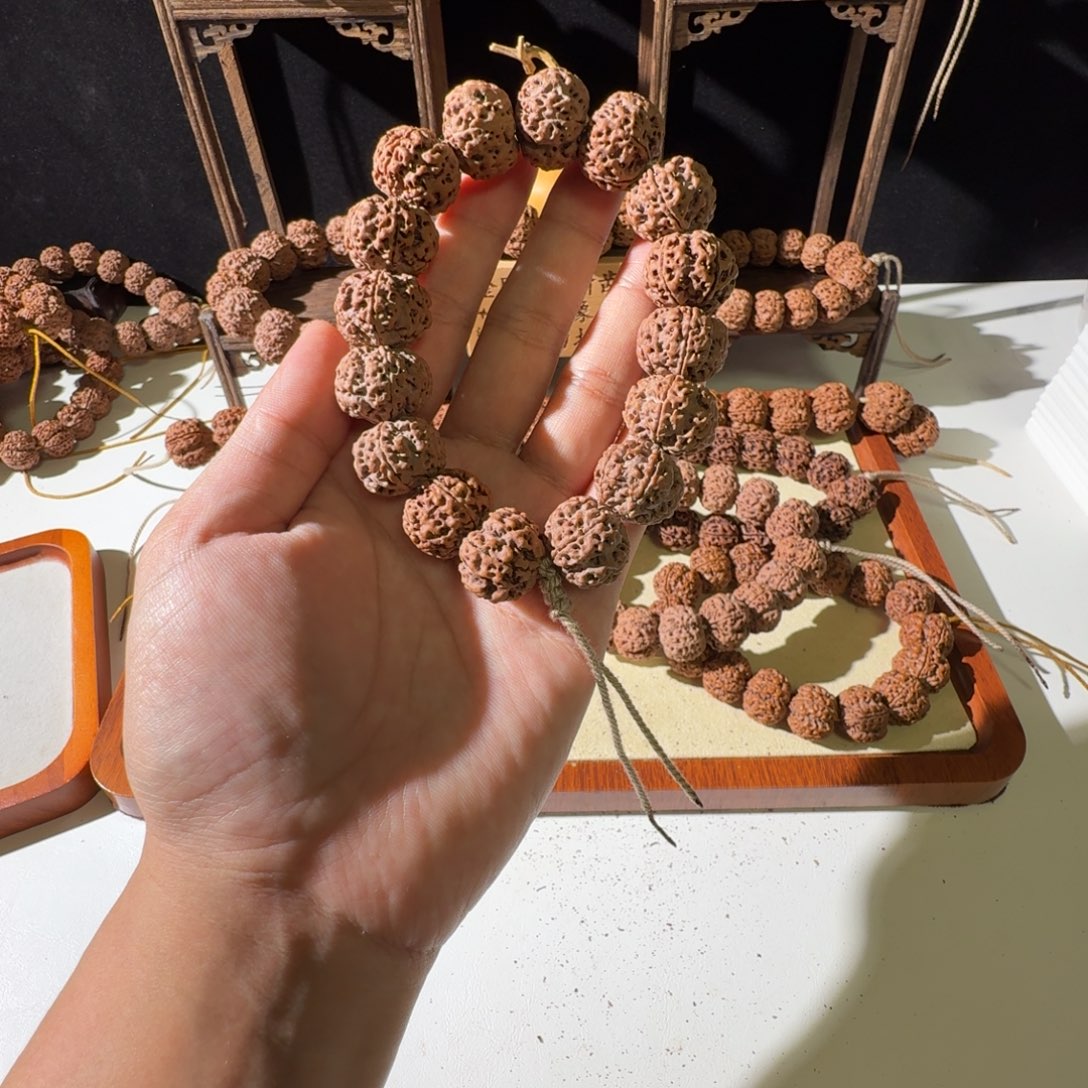 吊坠金刚菩提20尺寸红皮梅花超头