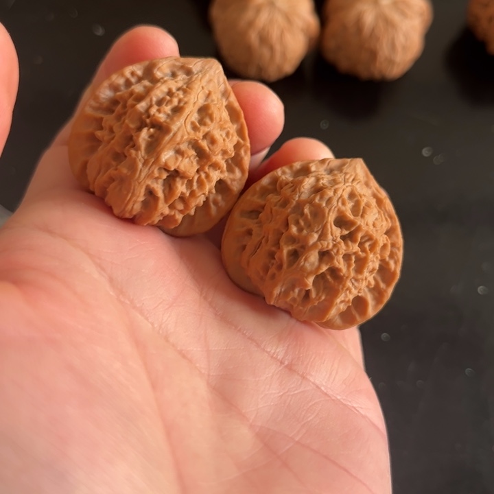 大叶紫檀（黑酸枝木类）野生小众