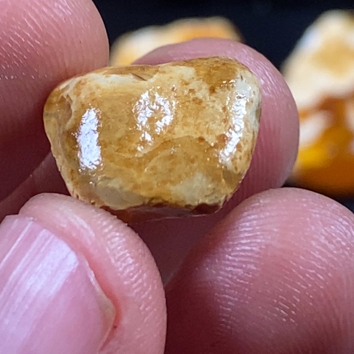 未镶嵌定制琥珀*️****