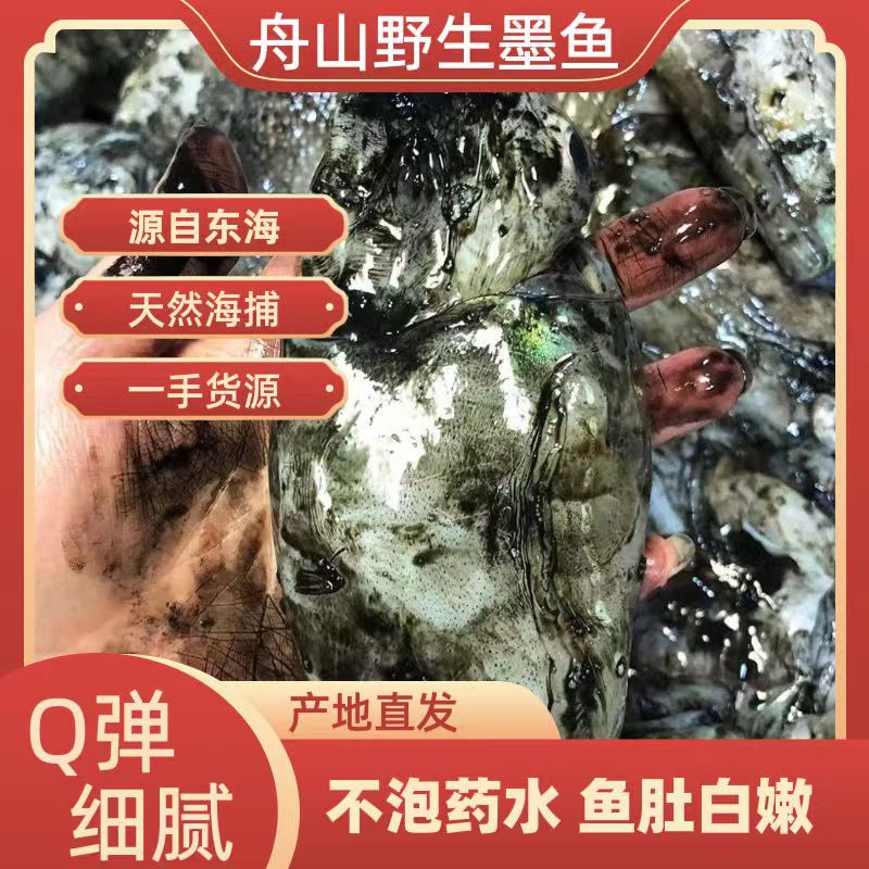 特大号舟山野生原汁墨鱼 东海 原浆目鱼 速冻发货不泡水6-8两//只