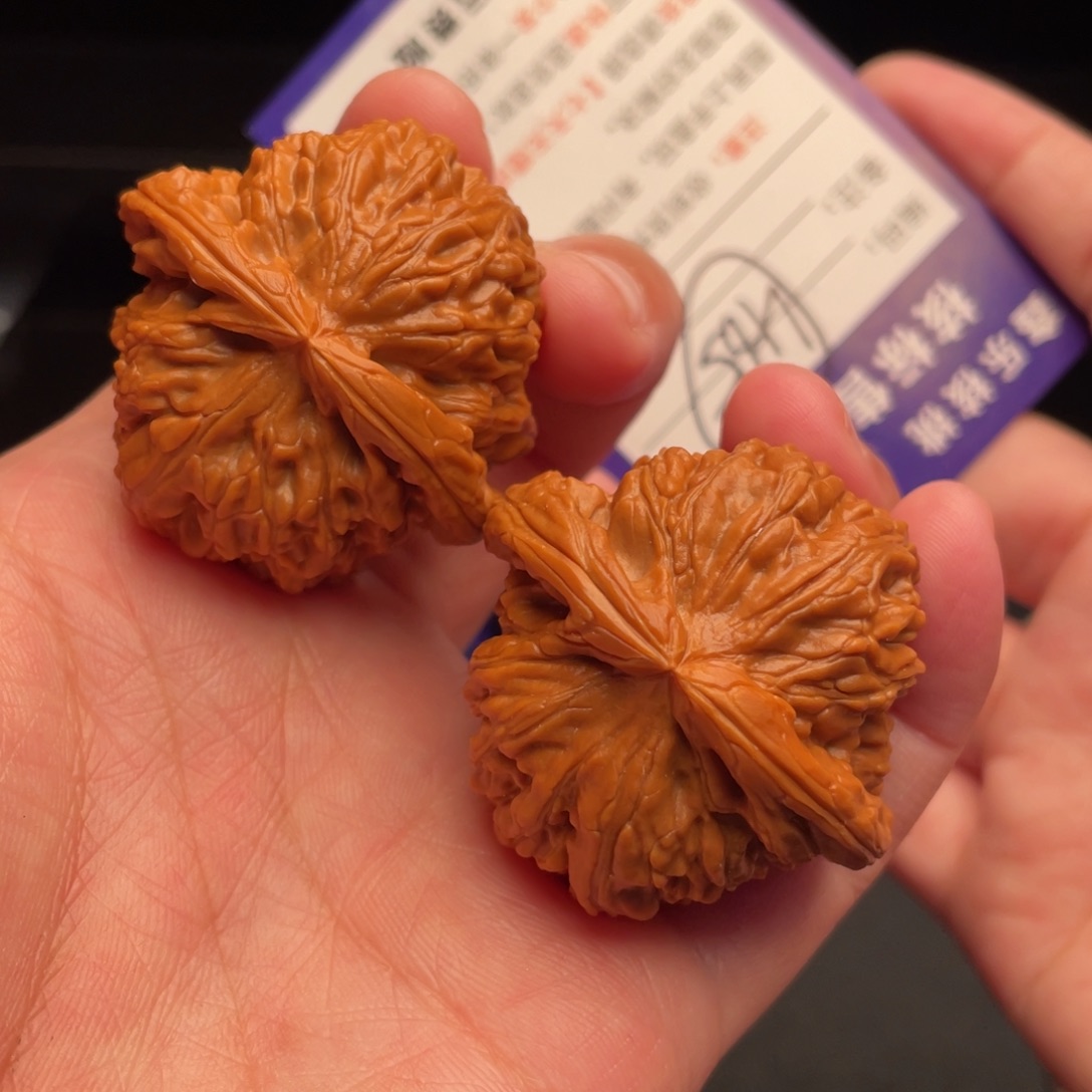 把件文玩核桃白狮子40