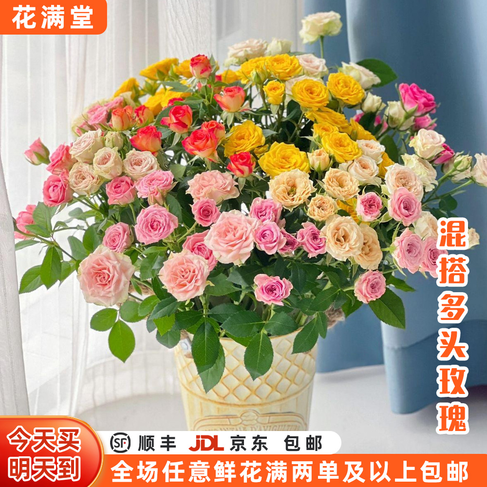 【次日达·混色多头玫瑰】混色多头玫瑰随机10枝装·鲜花全场两单顺丰包邮次日达·基地直发·批发·生活鲜花次日达
