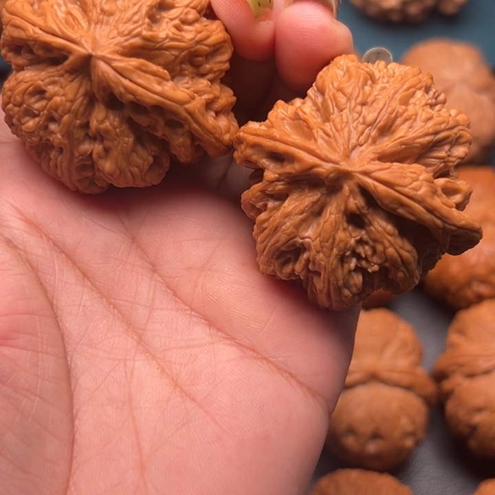 不***杨吊坠文玩核桃88888888